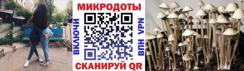 Псилоцибиновые грибы мицелий  Павловский Посад 